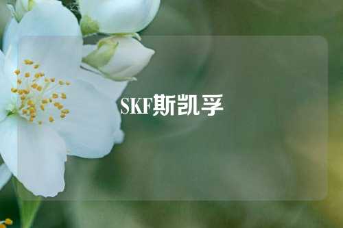 SKF斯凱孚