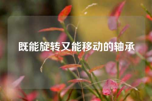 既能旋轉(zhuǎn)又能移動的軸承