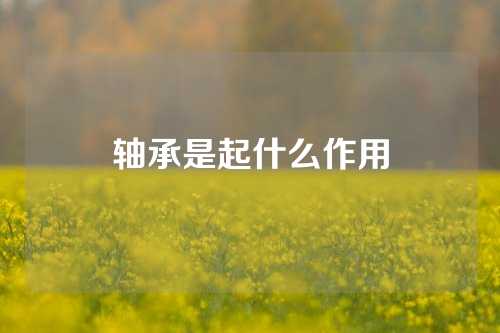 軸承是起什么作用