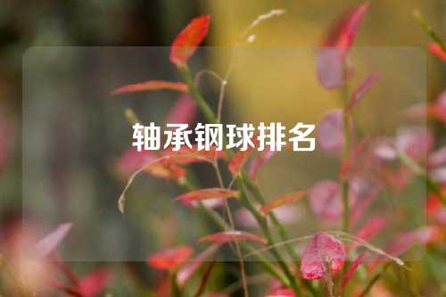 軸承鋼球排名