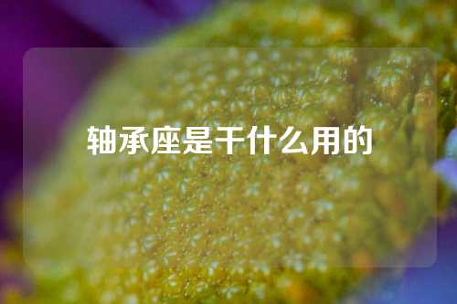 軸承座是干什么用的