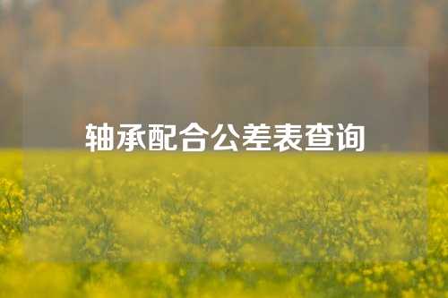 軸承配合公差表查詢