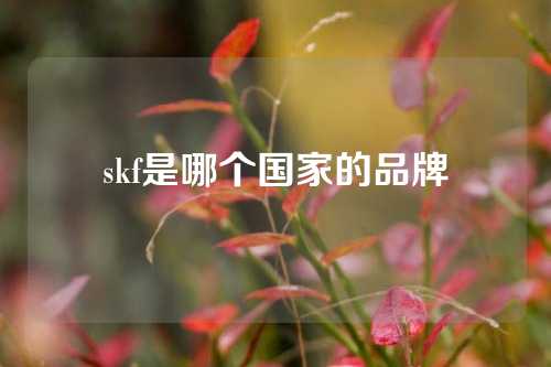 skf是哪個國家的品牌