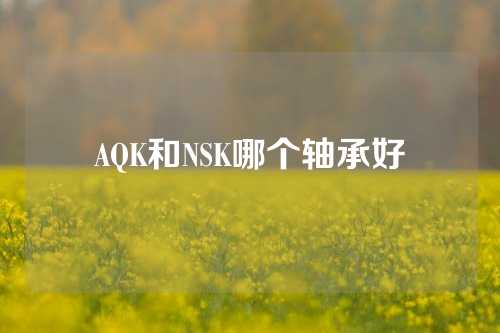 AQK和NSK哪個軸承好