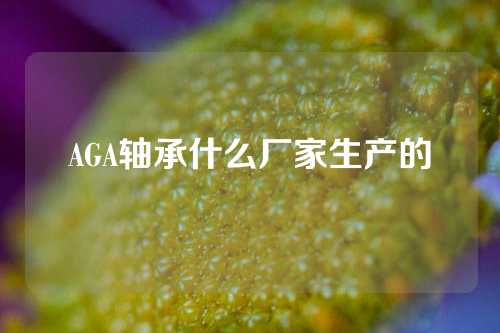 AGA軸承什么廠家生產(chǎn)的