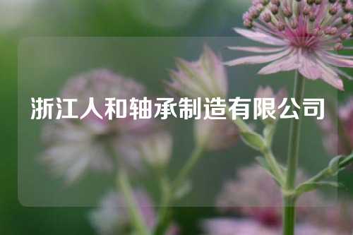 浙江人和軸承制造有限公司