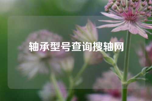 軸承型號查詢搜軸網(wǎng)