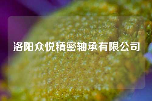 洛陽眾悅精密軸承有限公司