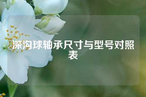 深溝球軸承尺寸與型號對照表