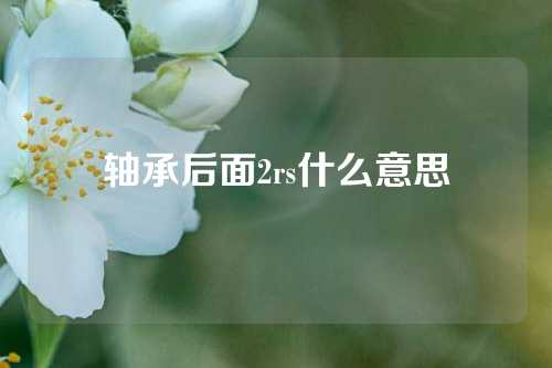 軸承后面2rs什么意思