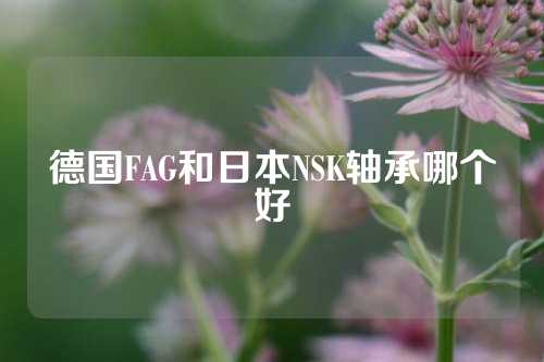 德國FAG和日本NSK軸承哪個好