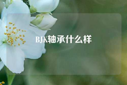 BJK軸承什么樣