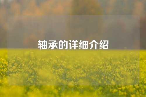 軸承的詳細(xì)介紹