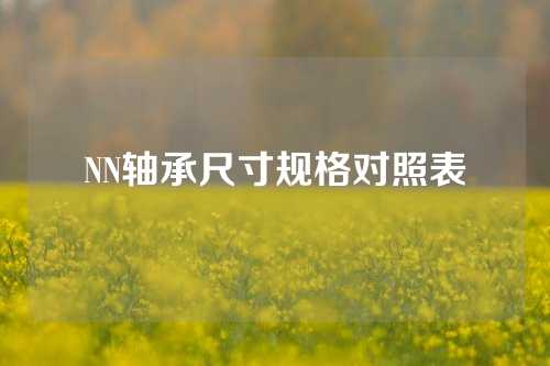 NN軸承尺寸規(guī)格對(duì)照表