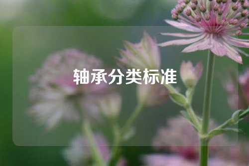 軸承分類標準