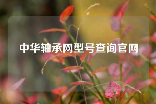 中華軸承網(wǎng)型號查詢官網(wǎng)