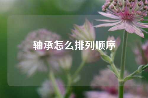 軸承怎么排列順序