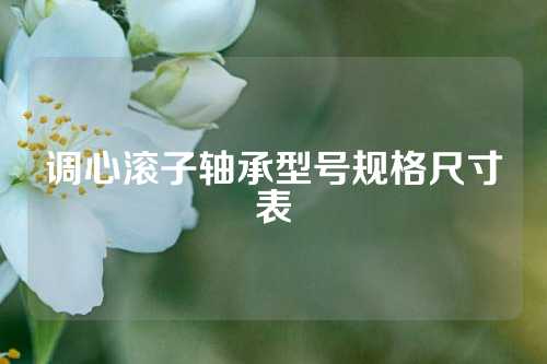 調(diào)心滾子軸承型號(hào)規(guī)格尺寸表