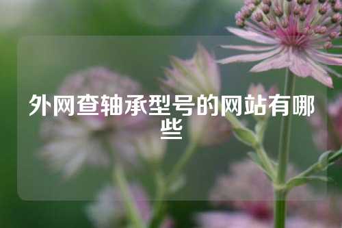 外網(wǎng)查軸承型號的網(wǎng)站有哪些