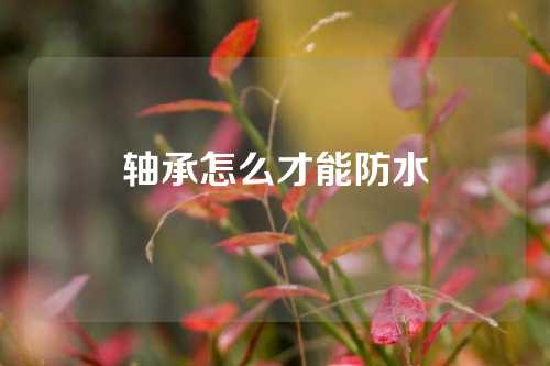 軸承怎么才能防水