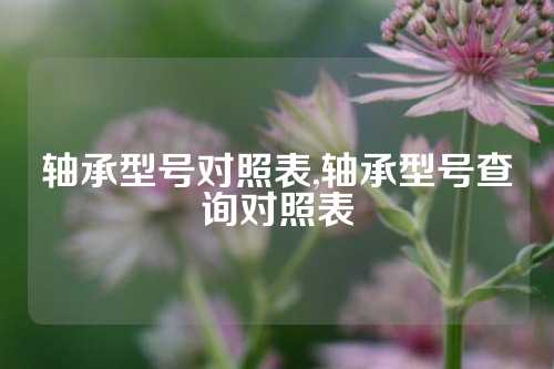 軸承型號(hào)對(duì)照表,軸承型號(hào)查詢對(duì)照表