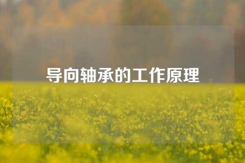 導(dǎo)向軸承的工作原理