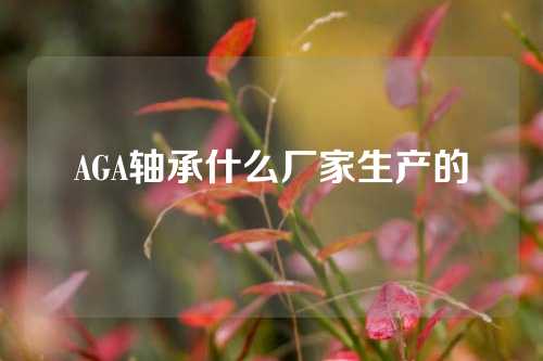 AGA軸承什么廠家生產(chǎn)的