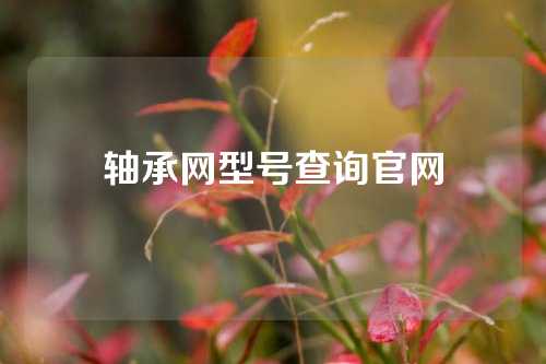 軸承網(wǎng)型號查詢官網(wǎng)