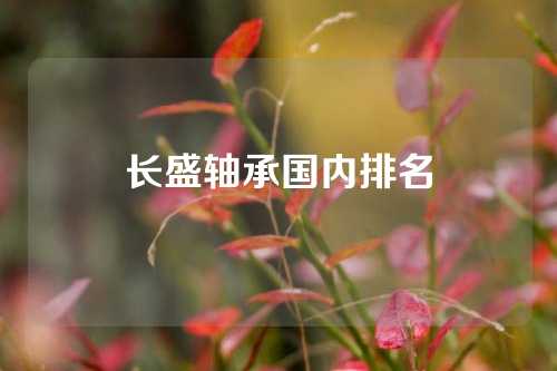 長(zhǎng)盛軸承國(guó)內(nèi)排名