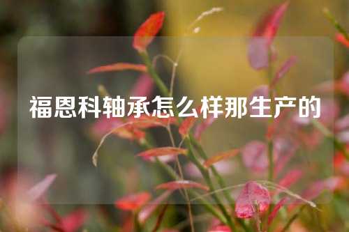 福恩科軸承怎么樣那生產(chǎn)的