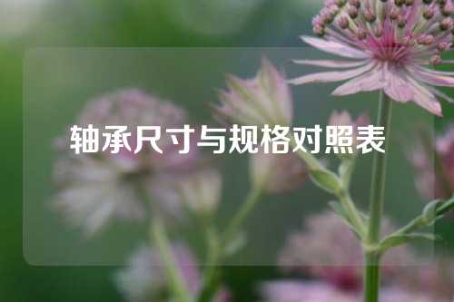 軸承尺寸與規(guī)格對(duì)照表