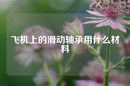 飛機上的滑動軸承用什么材料