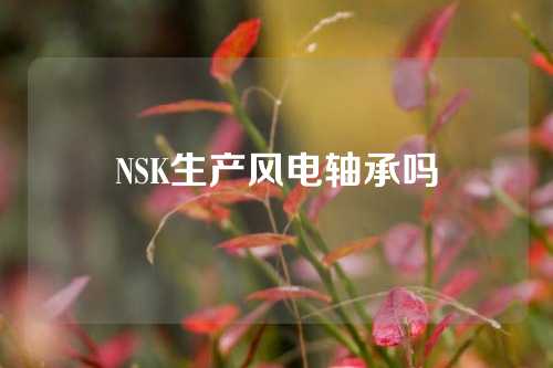 NSK生產(chǎn)風(fēng)電軸承嗎