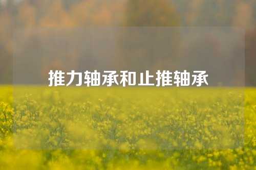 推力軸承和止推軸承