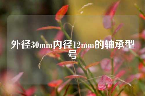 外徑30mm內(nèi)徑12mm的軸承型號(hào)