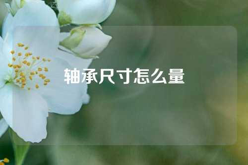 軸承尺寸怎么量