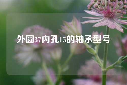 外圓37內(nèi)孔15的軸承型號