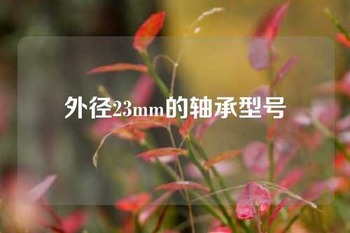 外徑23mm的軸承型號