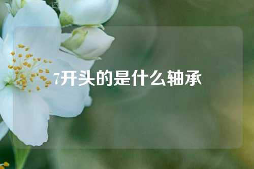 7開頭的是什么軸承