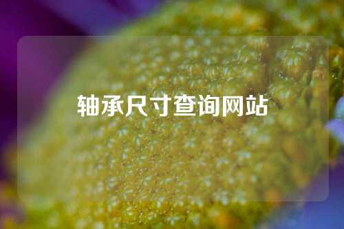 軸承尺寸查詢網(wǎng)站