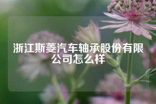 浙江斯菱汽車軸承股份有限公司怎么樣