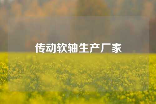 傳動軟軸生產(chǎn)廠家