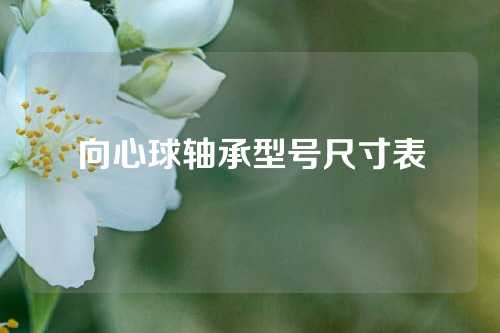 向心球軸承型號尺寸表