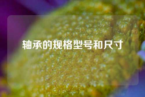 軸承的規(guī)格型號和尺寸