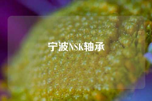 寧波NSK軸承