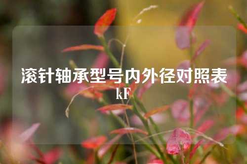 滾針軸承型號內(nèi)外徑對照表kF