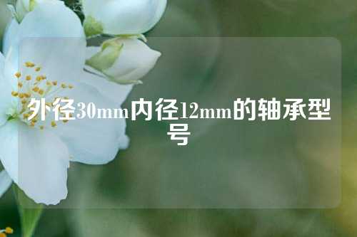 外徑30mm內(nèi)徑12mm的軸承型號