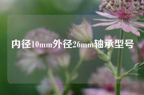 內(nèi)徑10mm外徑26mm軸承型號(hào)