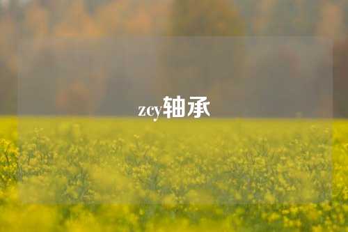 zcy軸承