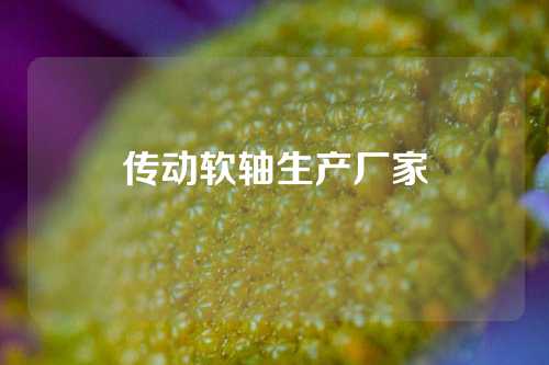 傳動軟軸生產(chǎn)廠家